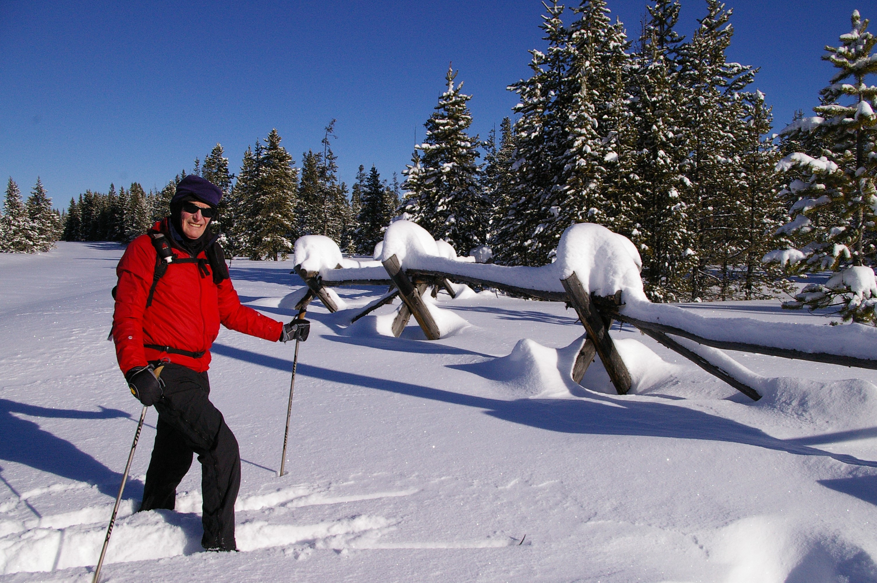 cross-country skier